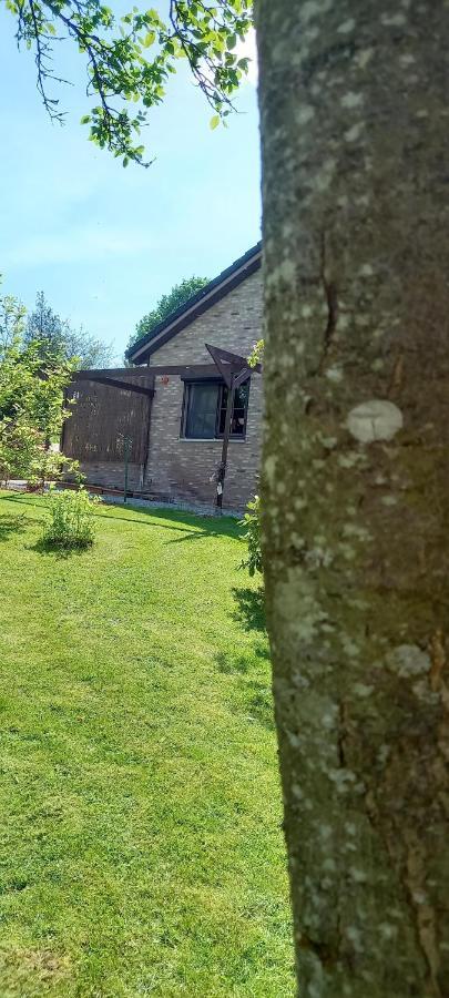 Gite Les Sittelles Tenneville Exterior photo